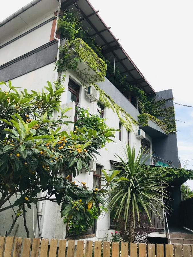 Villa Del Mar Gonio Exterior photo